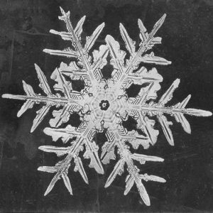 microscopic snowflake print by Wilson A. Bentley